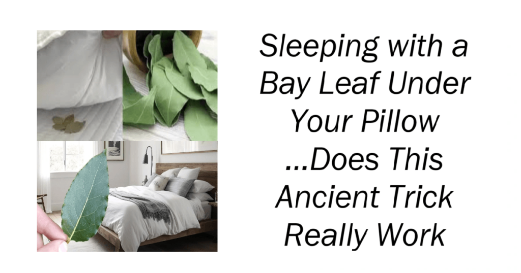 Sleeping with a Bay Leaf Under Your Pillow