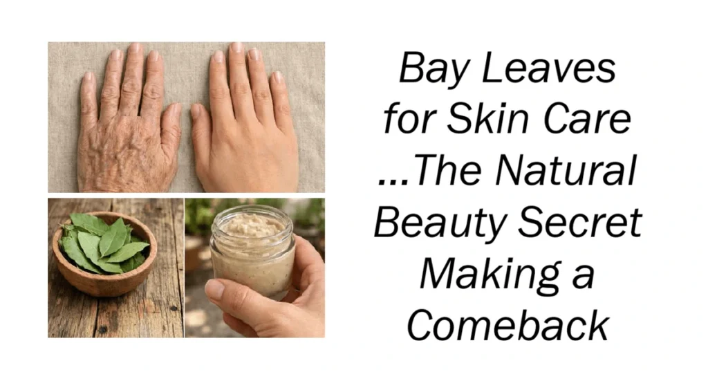 Bay Leaves for Skin Care