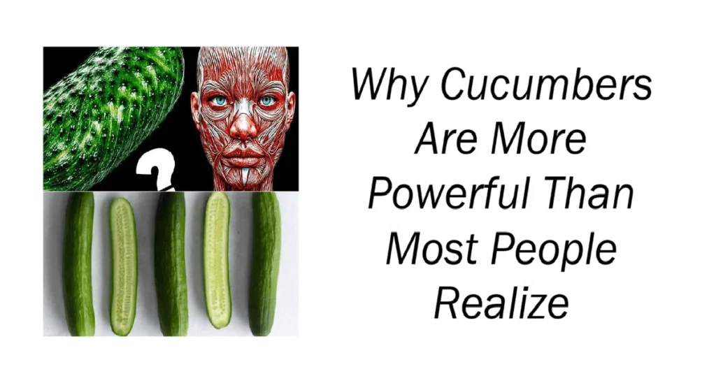 Why Cucumbers Are More Powerful Than Most People Realize