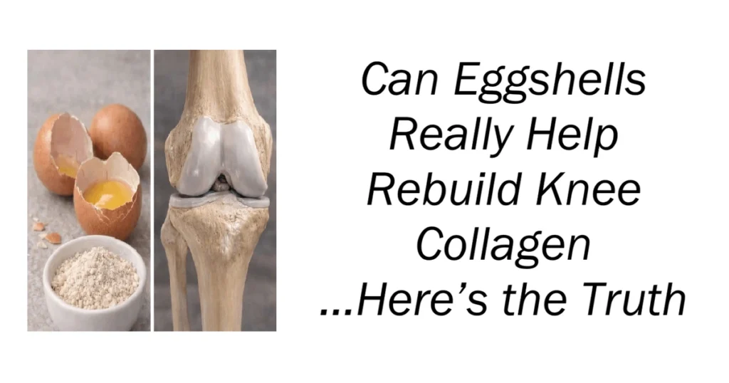 Can Eggshells Really Help Rebuild Knee Collagen