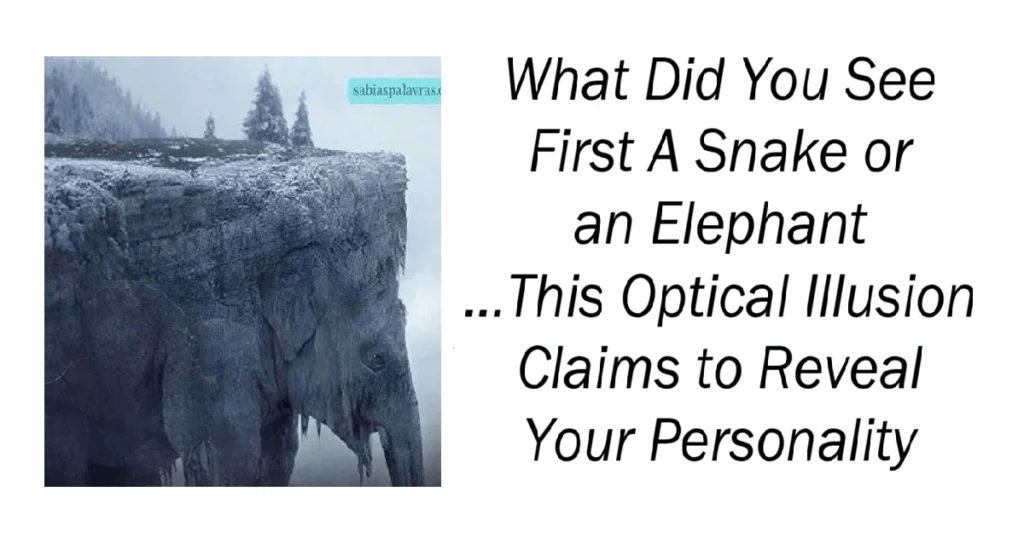 What Did You See First A Snake or an Elephant