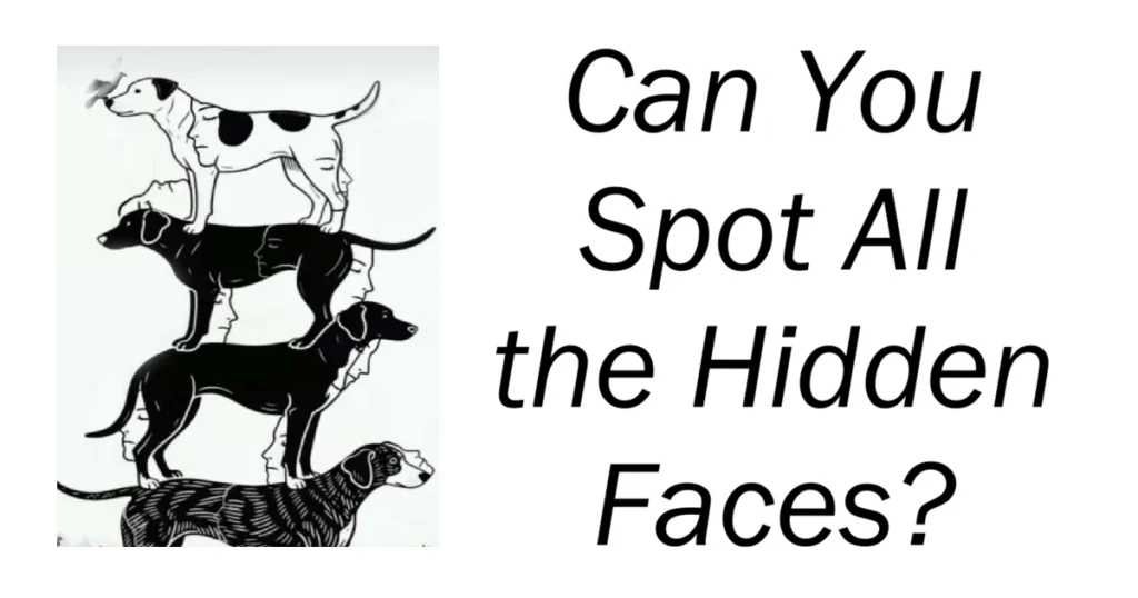 Can You Spot All the Hidden Faces
