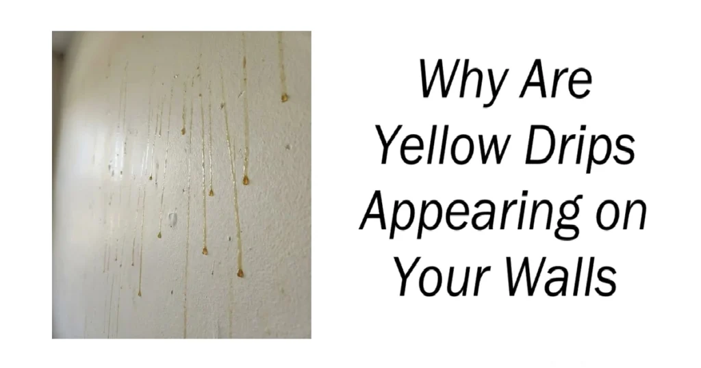 Why Are Yellow Drips Appearing on Your Walls