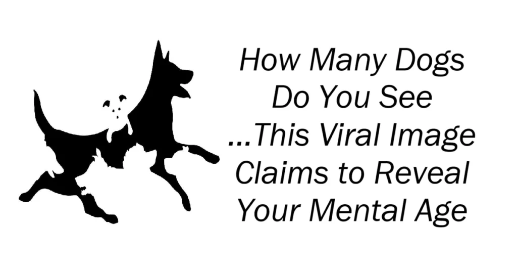 How Many Dogs Do You See ...This Viral Image Claims to Reveal Your Mental Age