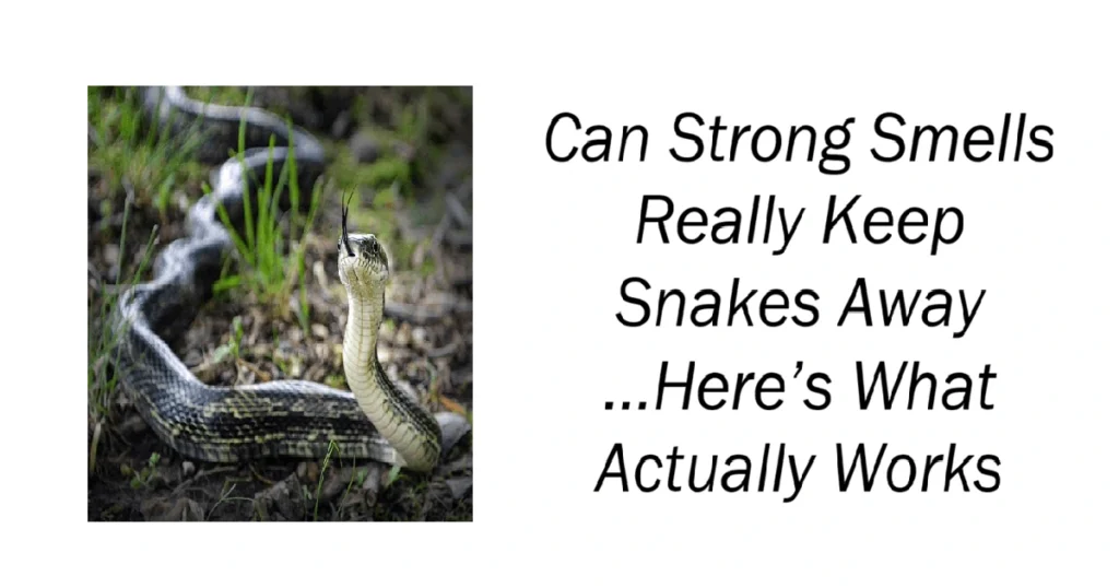 Can Strong Smells Really Keep Snakes Away