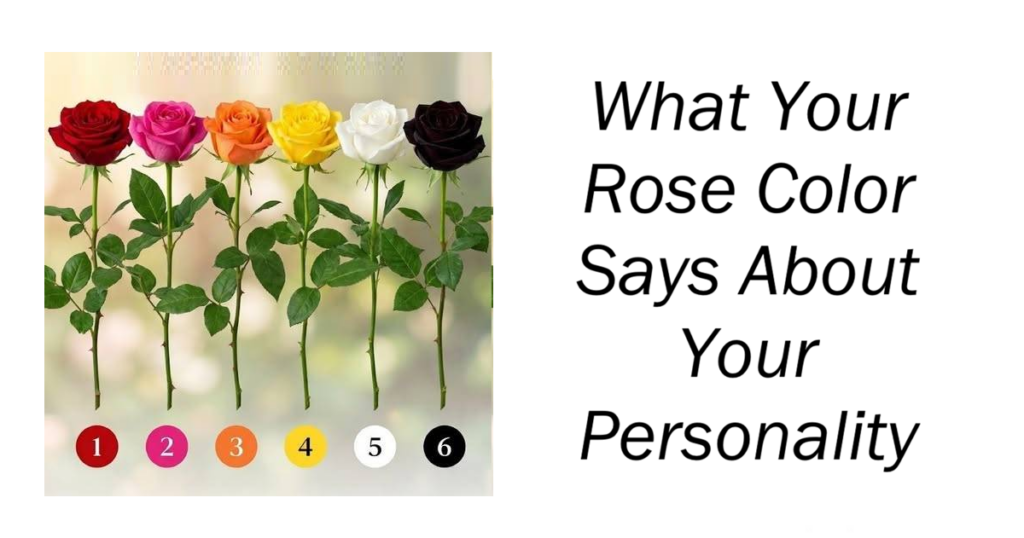 What Your Rose Color Says About Your Personality