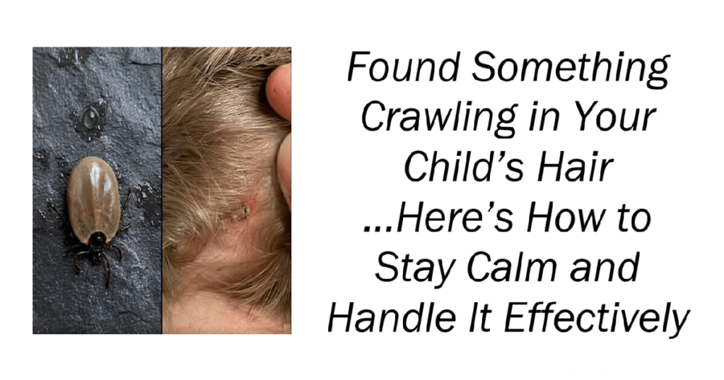 Found Something Crawling in Your Child’s Hair