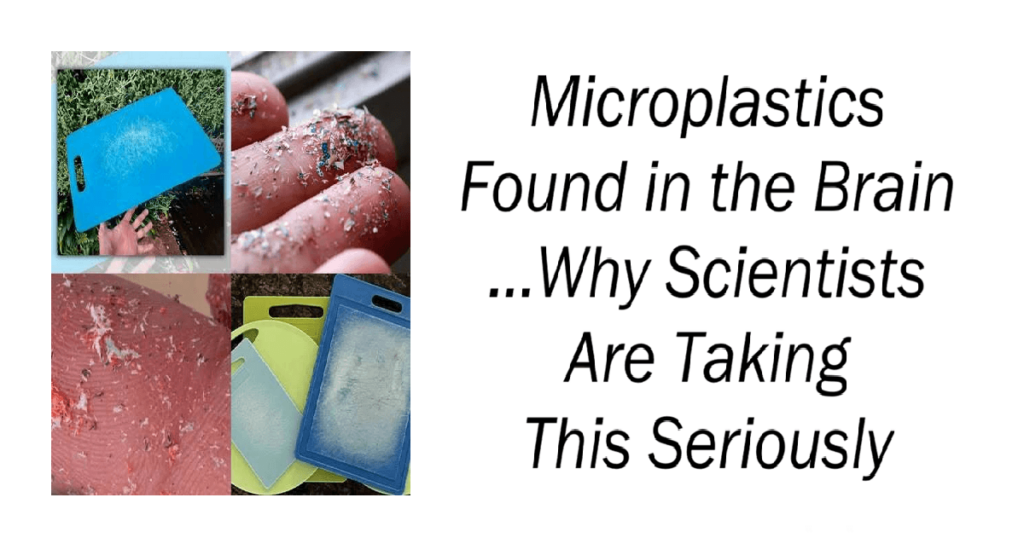 Microplastics Found in the Brain