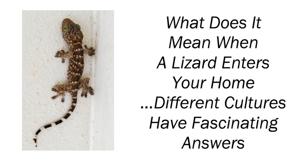 What Does It Mean When A Lizard Enters Your Home