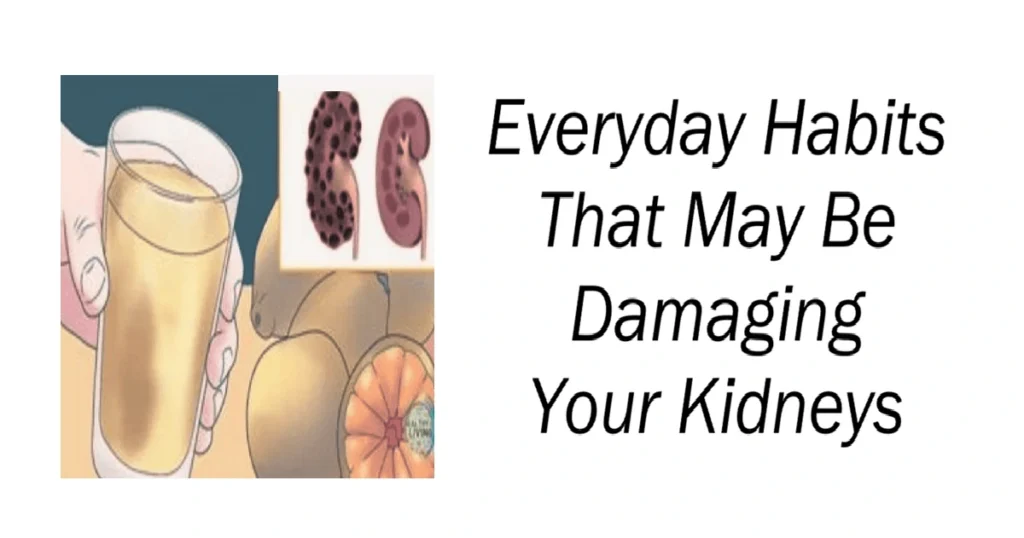 Everyday Habits That May Be Damaging Your Kidneys