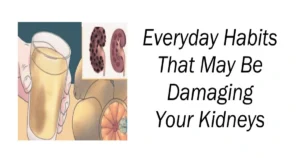 Everyday Habits That May Be Damaging Your Kidneys