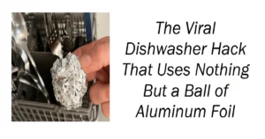 The Viral Dishwasher Hack