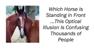 Which Horse Is Standing in Front