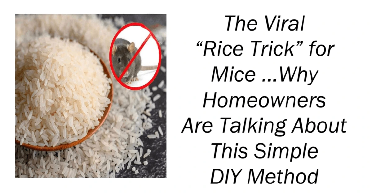 The Viral “Rice Trick” for Mice