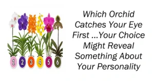 Which Orchid Catches Your Eye First
