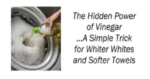 The Hidden Power of Vinegar
