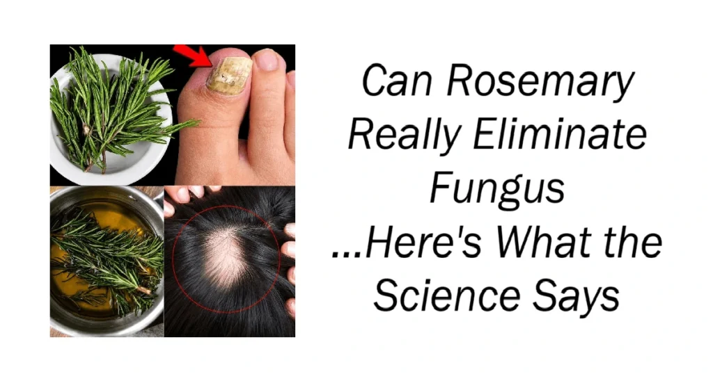 Can Rosemary Really Eliminate Fungus