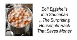 Boil Eggshells in a Saucepan