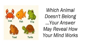 Which Animal Doesn't Belong