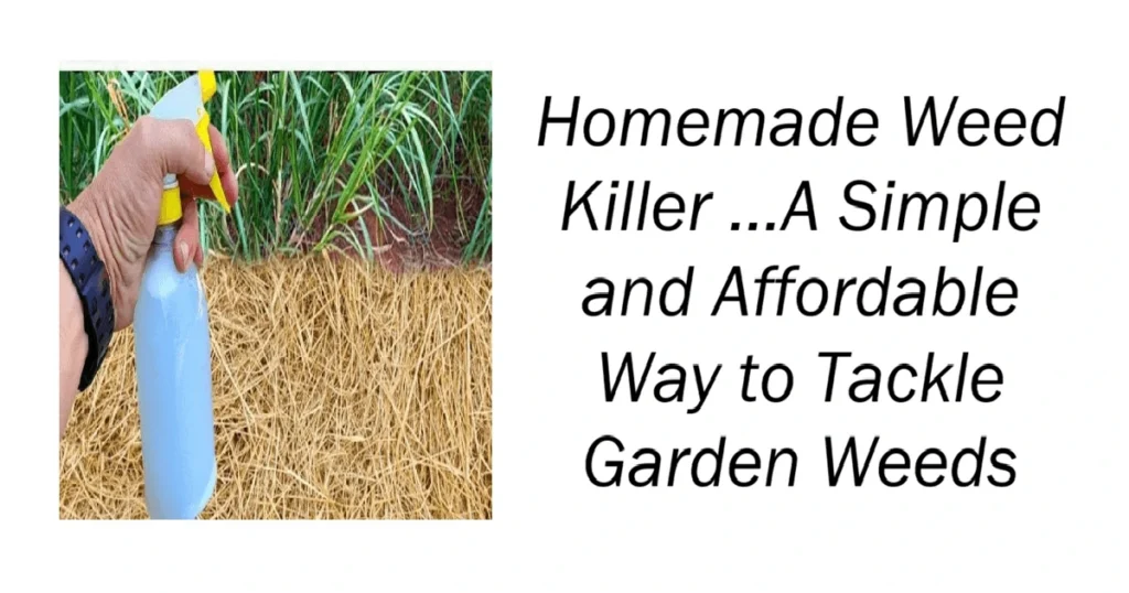 A Simple and Affordable Way to Tackle Garden Weeds