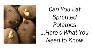 Can You Eat Sprouted Potatoes