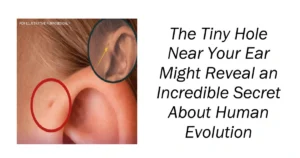 Tiny Hole Near Your Ear