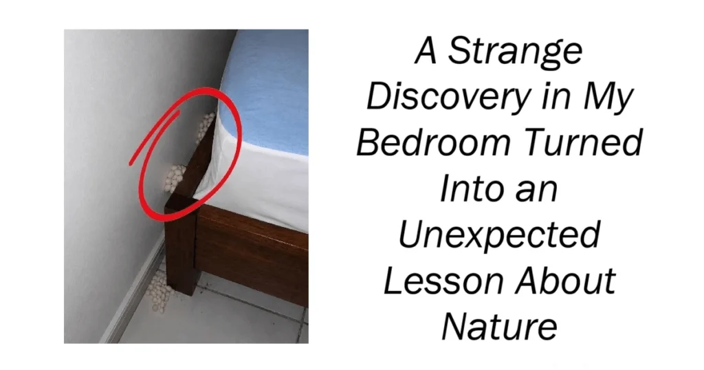 A Strange Discovery in My Bedroom