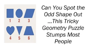 Can You Spot the Odd Shape Out