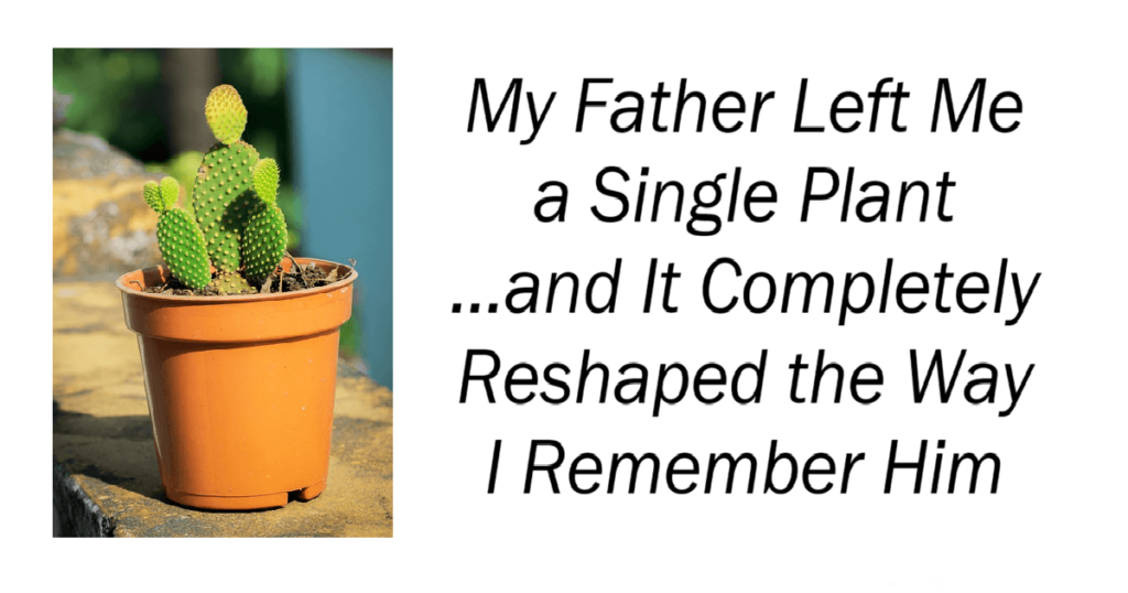My Father Left Me a Single Plant