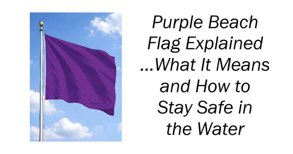 Purple Beach Flag Explained