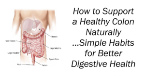 How to Support a Healthy Colon Naturally