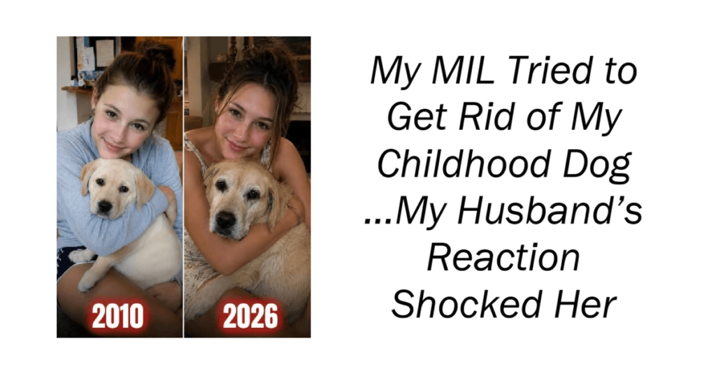 My MIL Tried to Get Rid of My Childhood Dog
