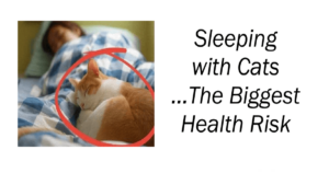 Sleeping with Cats