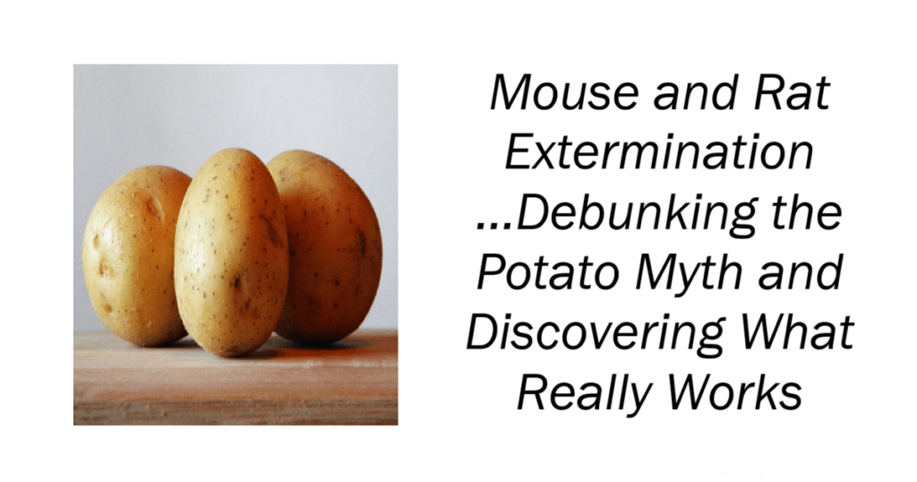 Debunking the Potato Myth