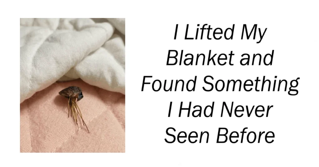 I Lifted My Blanket and Found Something