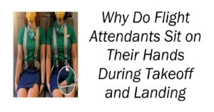 Why Do Flight Attendants Sit on Their Hands