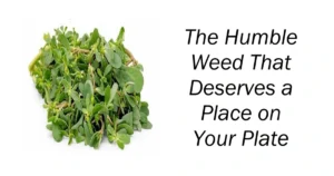 The Humble Weed That Deserves a Place on Your Plate