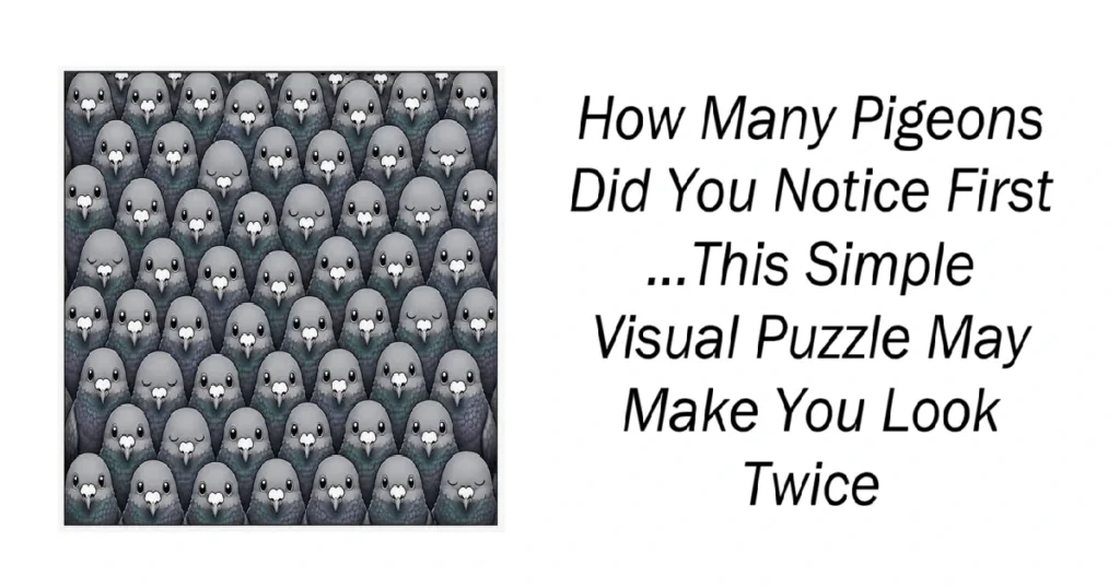 How Many Pigeons Did You Notice First