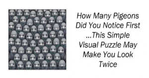 How Many Pigeons Did You Notice First
