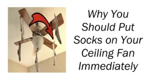 Why You Should Put Socks on Your Ceiling Fan Immediately