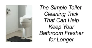The Simple Toilet-Cleaning Trick