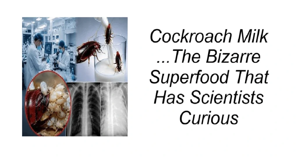 Cockroach Milk