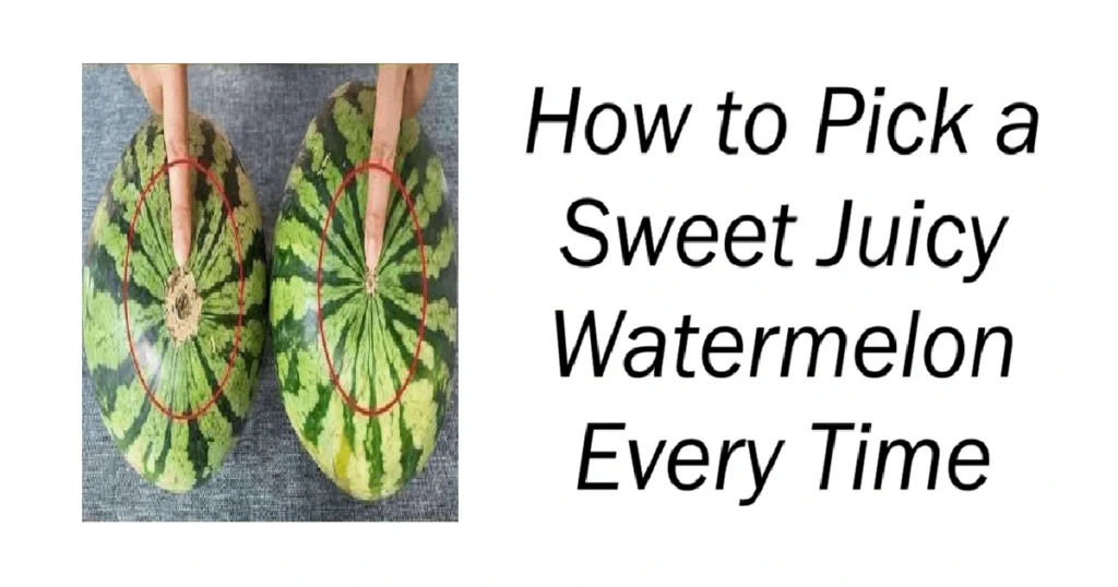 How to Pick a Sweet Juicy Watermelon Every Time