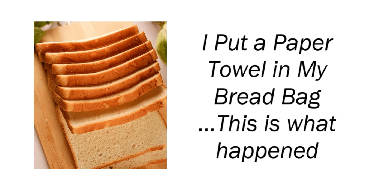 Putting Paper I Put a Paper Towel in My Bread Bag