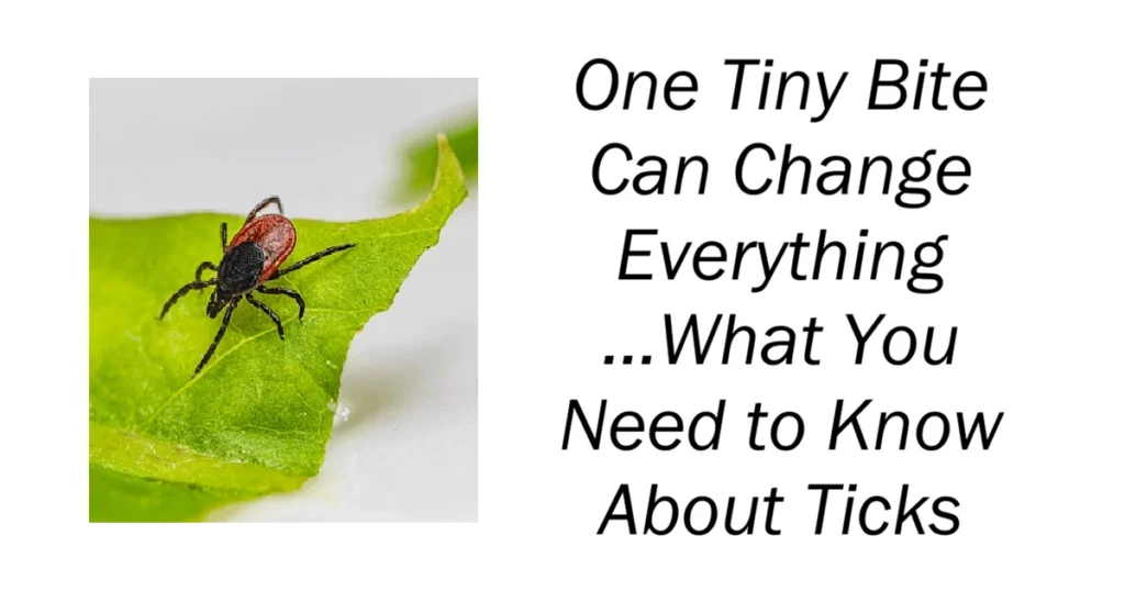 One Tiny Bite Can Change Everything