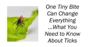 One Tiny Bite Can Change Everything