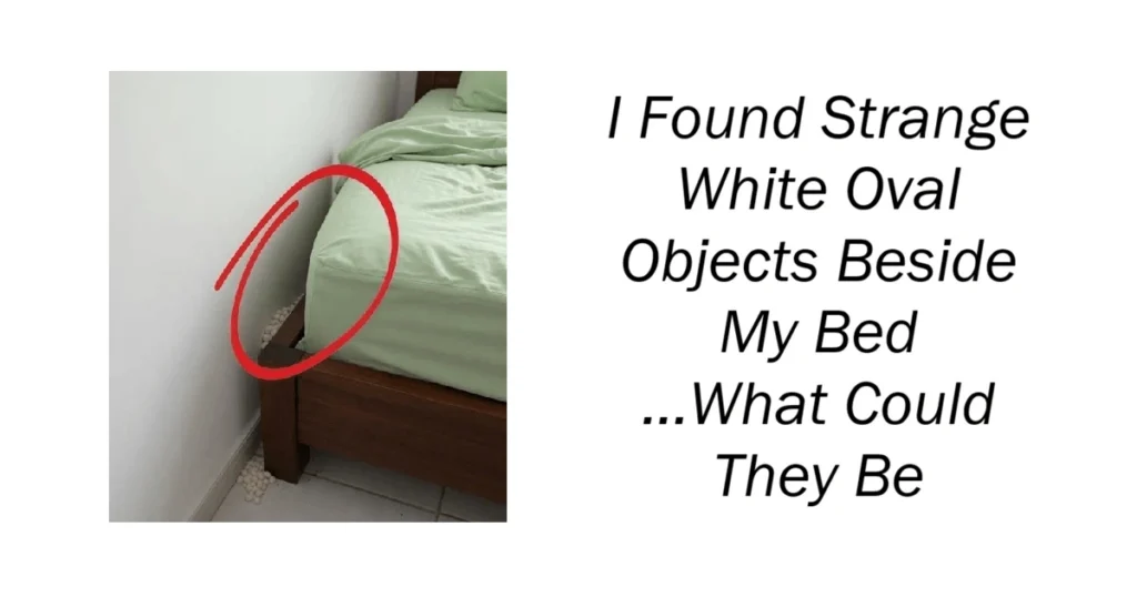 I Found Strange White Oval Objects Beside My Bed