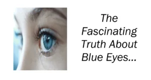 The Fascinating Truth About Blue Eyes