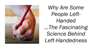 Why Are Some People Left-Handed